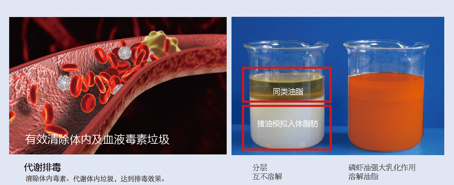 對(duì)比圖.png